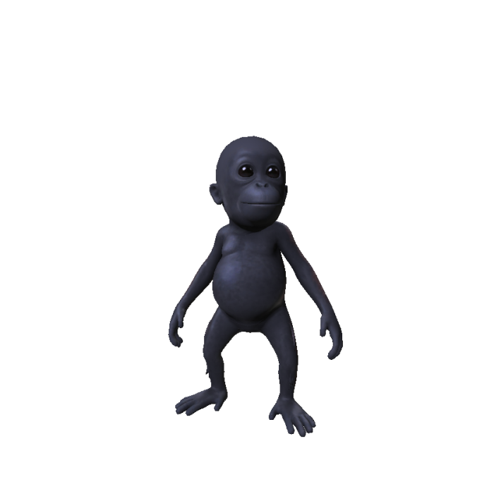 Baby Monkey Black