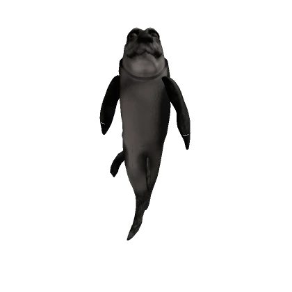 Fish Doggy - Roblox