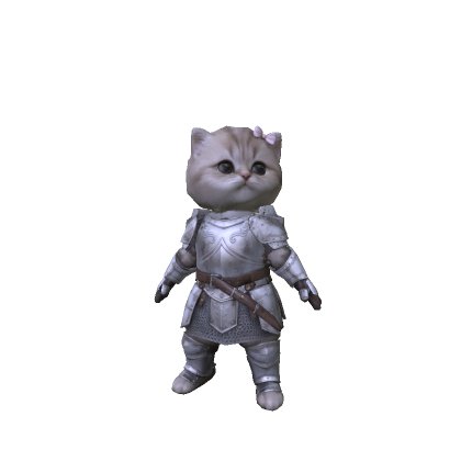 Knight Kitten