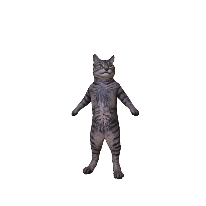 Dancing Tabby Cat Meme