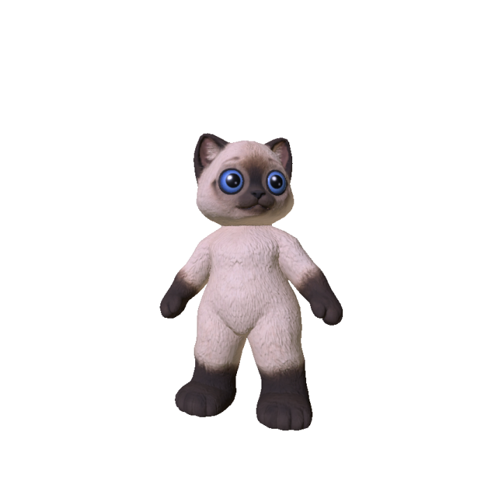 Siamese Kitten Cat