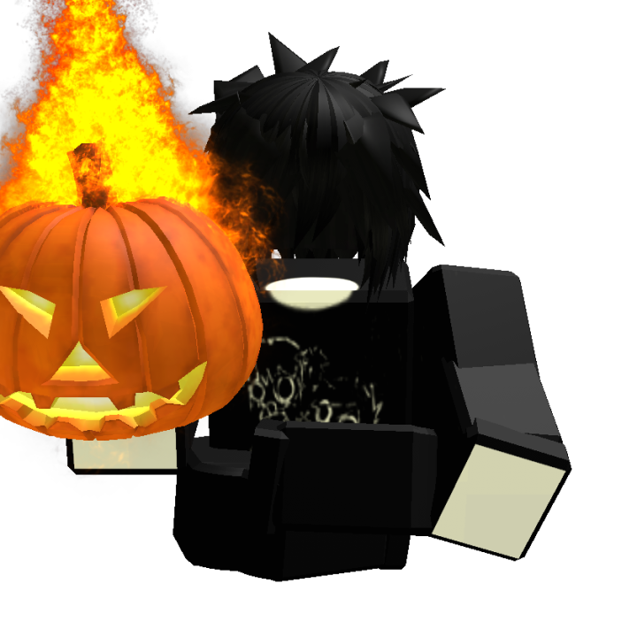 Roblox banner for @holyior