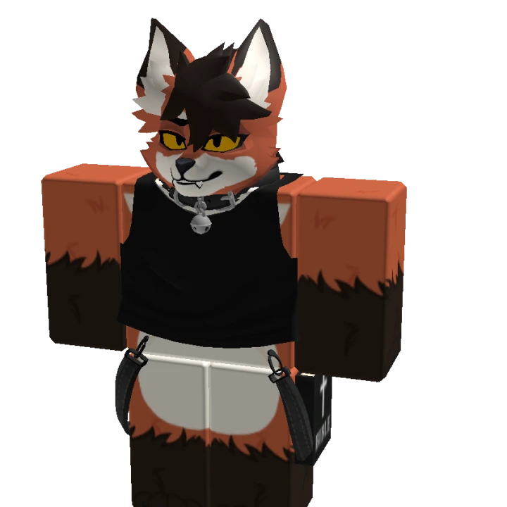 puinn - Roblox