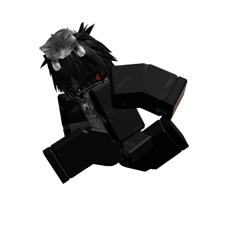 Roblox banner for @stav