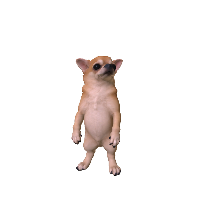 Chihuahua