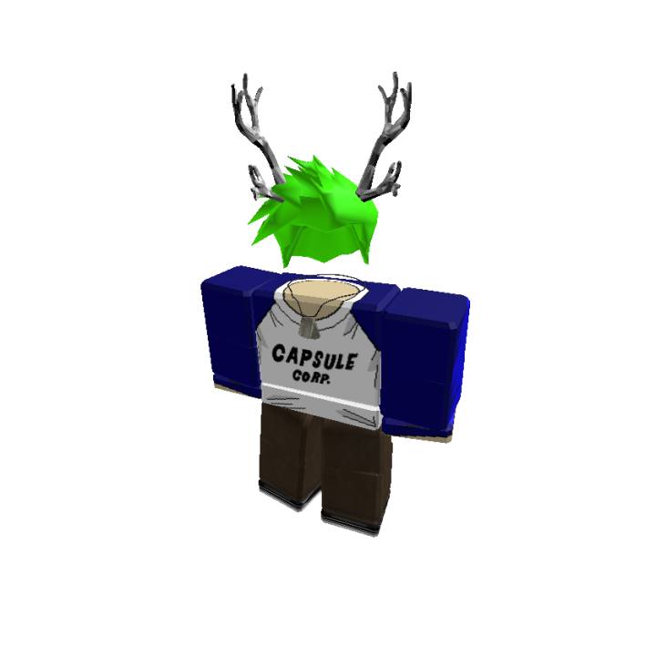 Roblox banner for @skeptical