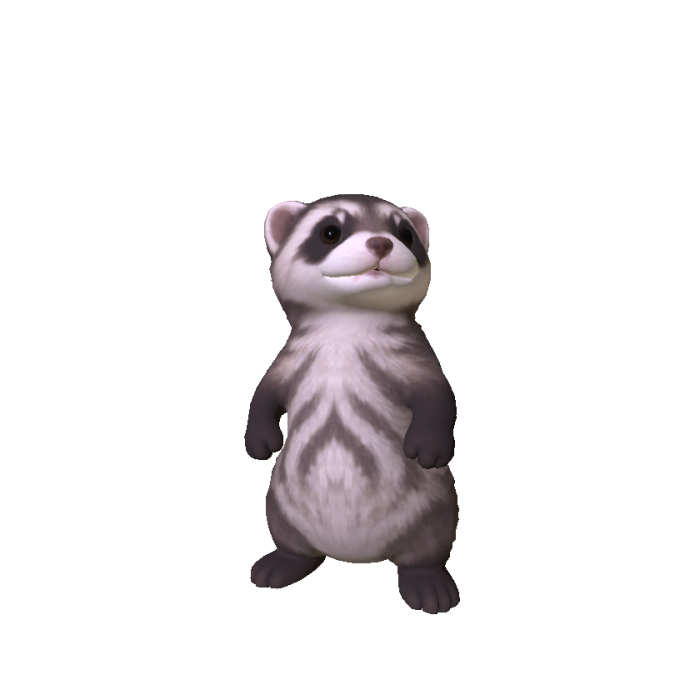 Mini Ferret