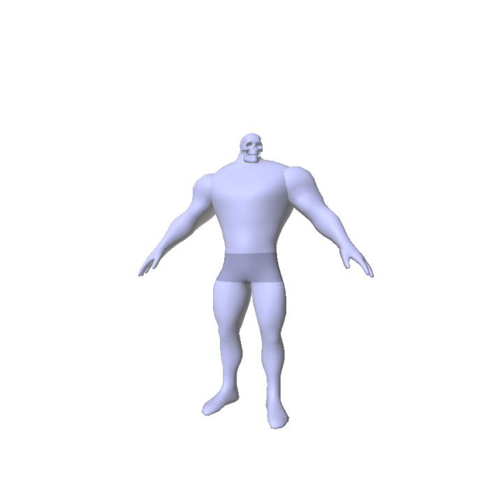 Tallest muscle body