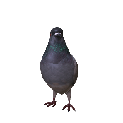 Realistic Pigeon