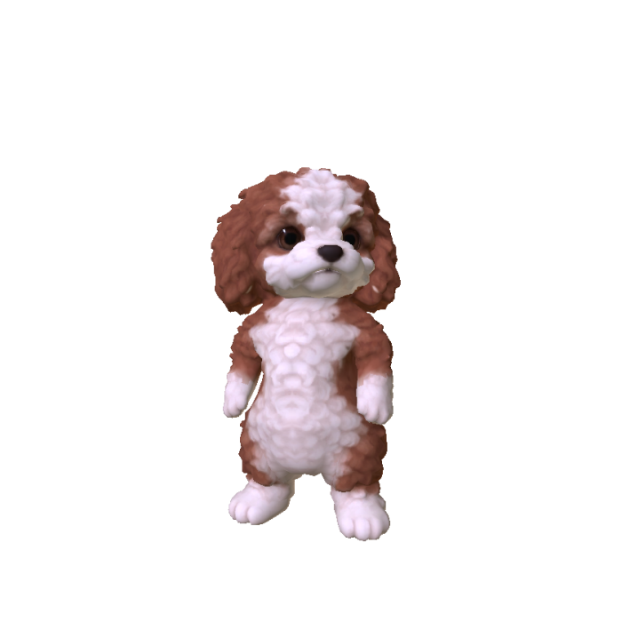 Little Poodle Puppy