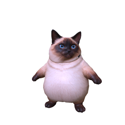 Fat Siamese Cat