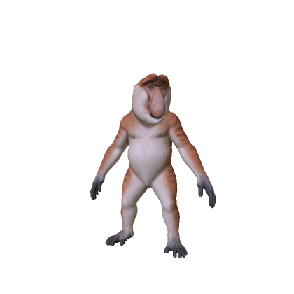 Proboscis Monkey