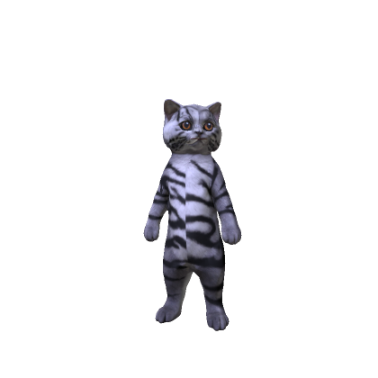 Silver Tabby Cat