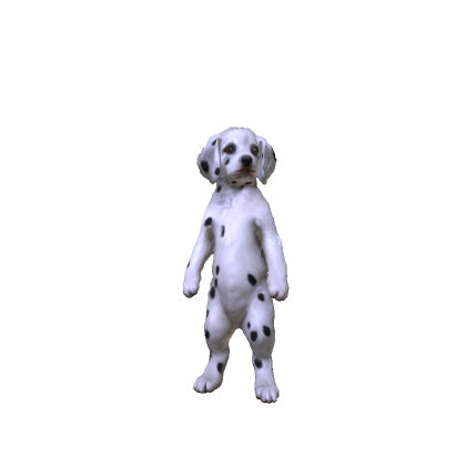 Dalmatian