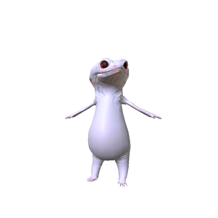 White Gecko