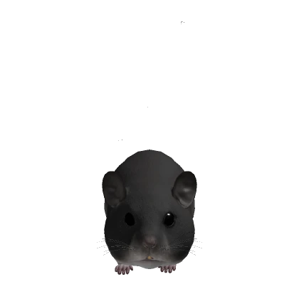 cat96121's avatar