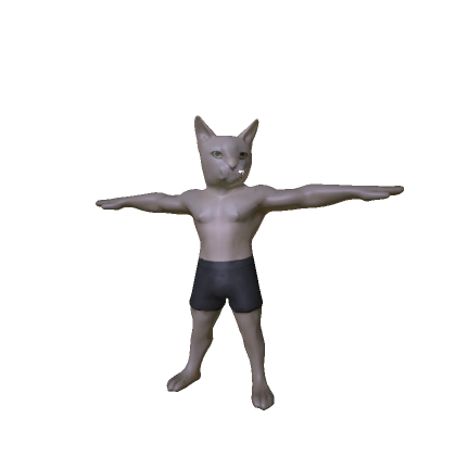 Realistic Cat