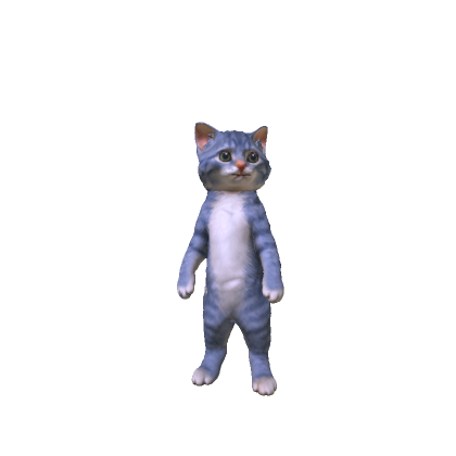 Tabby Cat