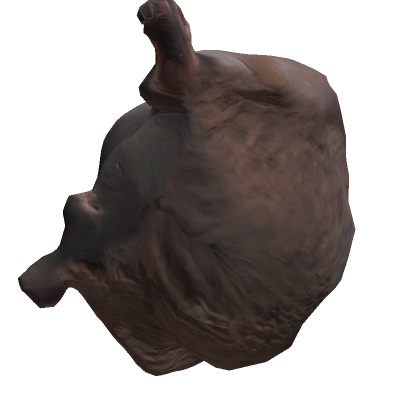 Full avatar of roblox_user_2395879410