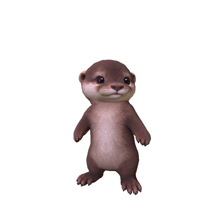 Sea Otter