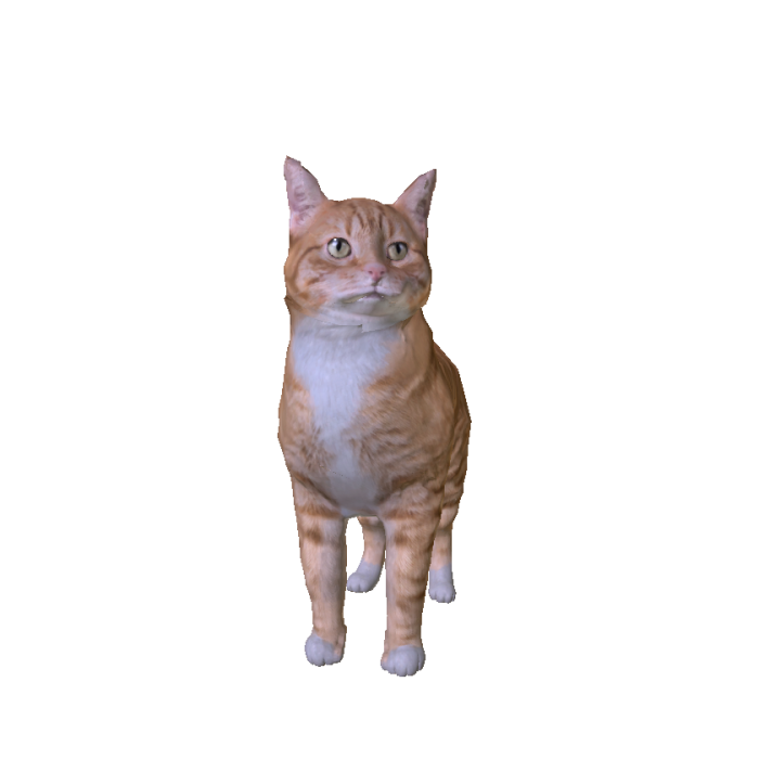 Tootsie the Orange Tabby Cat