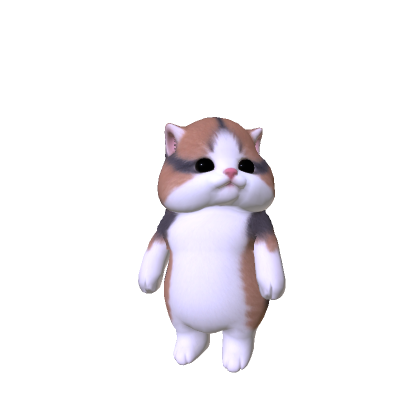 Chubby Cheeked Kitten