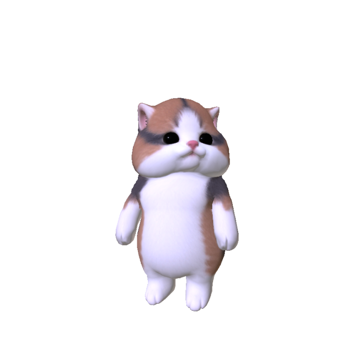 Chubby Cheeked Kitten