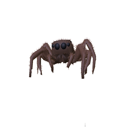 spider jumping