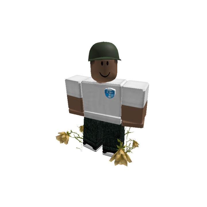 Roblox banner for @WikiMedia