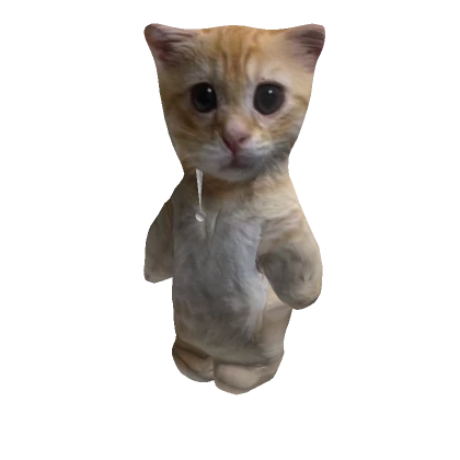 PiinkRoxess's avatar