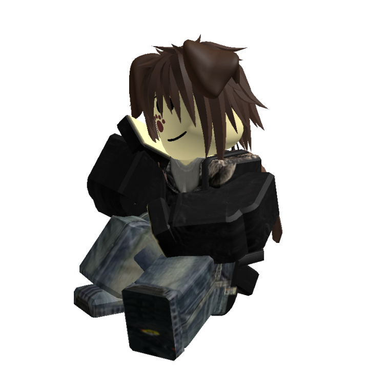 Roblox banner for @Anvil