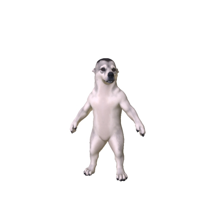 Brown Beige White Dog