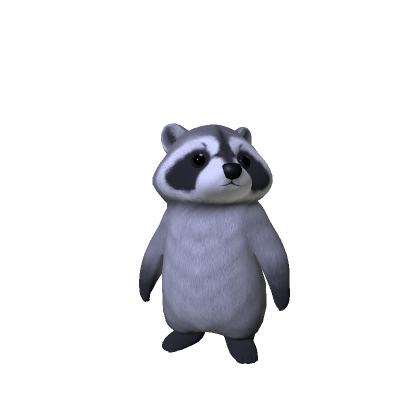 Curious Raccoon