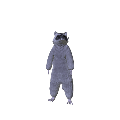 Raccoon - Garbage Panda 劣