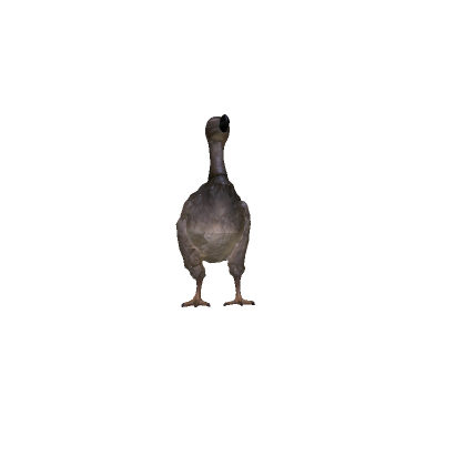 Mini Dodo Bird