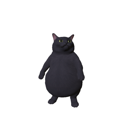 Chubbiest Cat