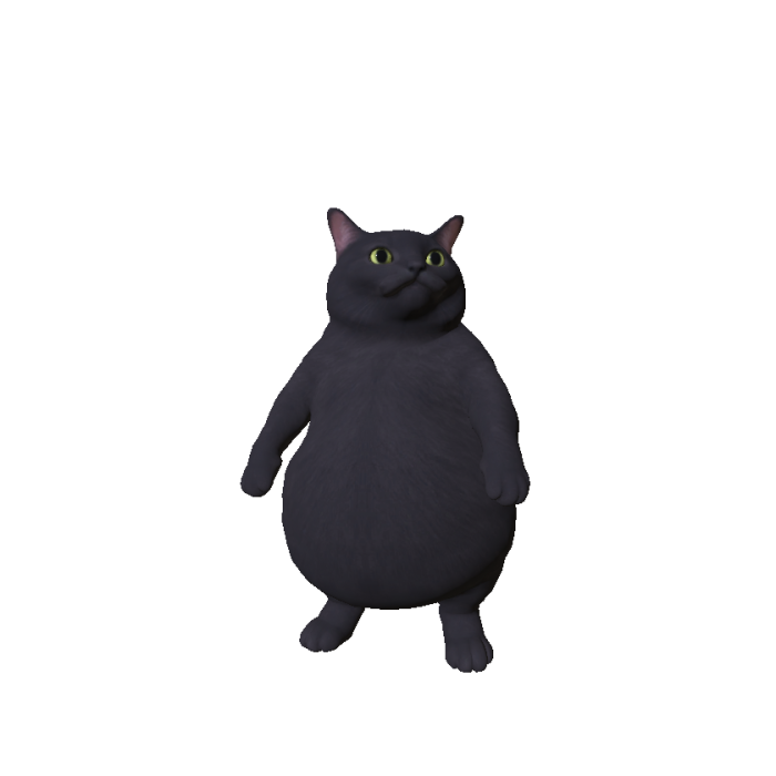 Chubbiest Cat