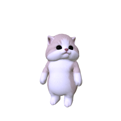 Chubby Cheeked Kitten