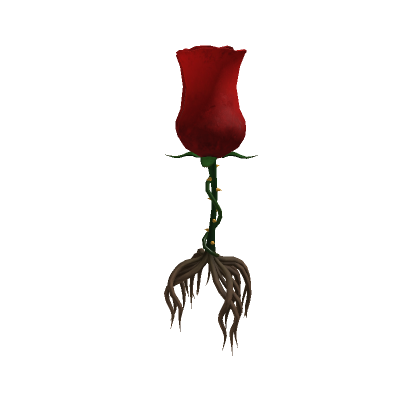 Rosa - Roblox
