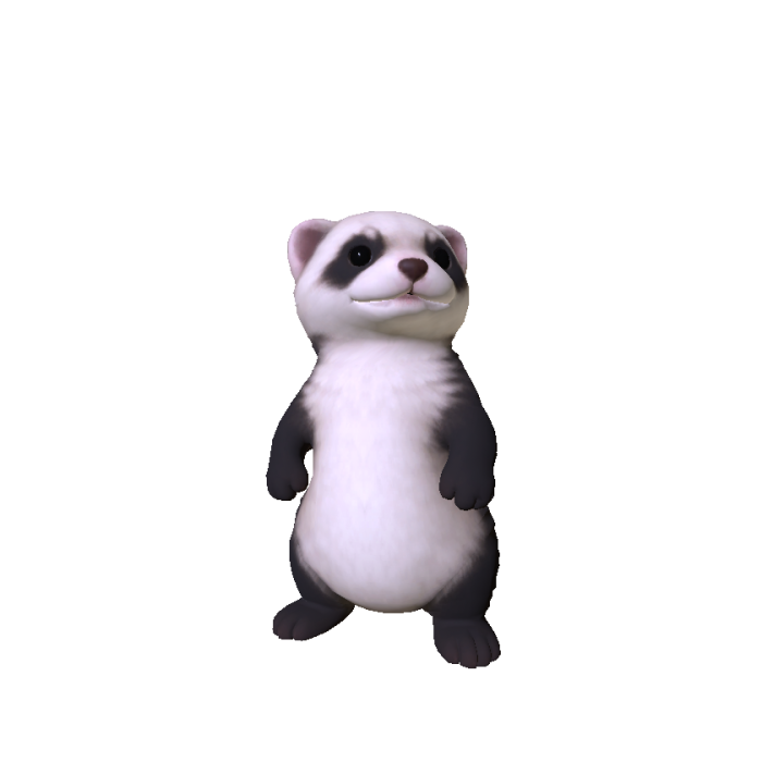Mini Ferret