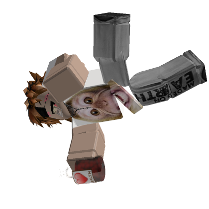 Full avatar of roblox_user_466322854