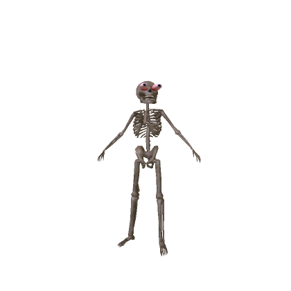 Skeleton Skull Bundle