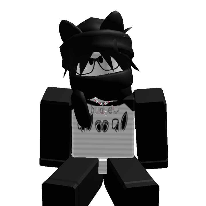 Roblox banner for @budge