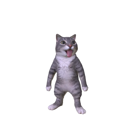 Catálogo