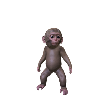 Baby Monkey thumbnail