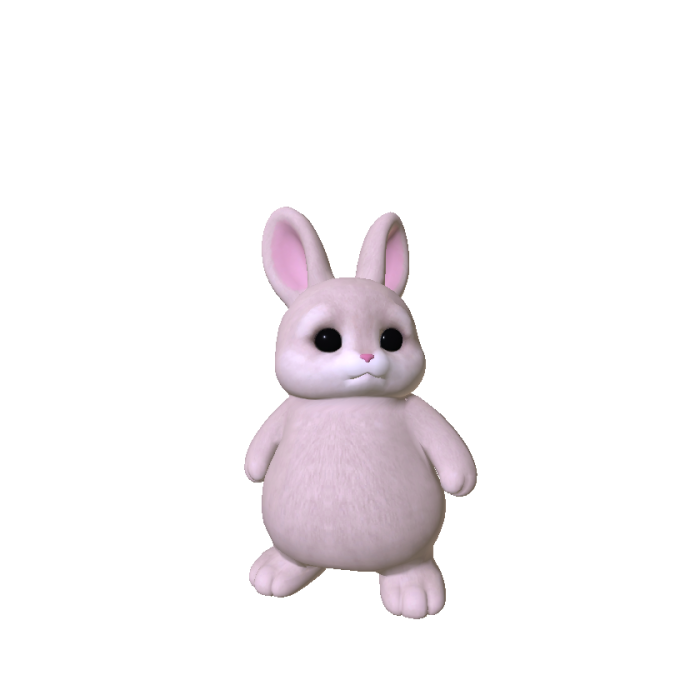 Litttle Bunny Plushie