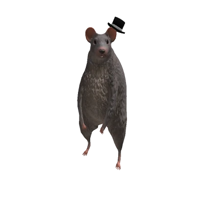 Rat's avatar