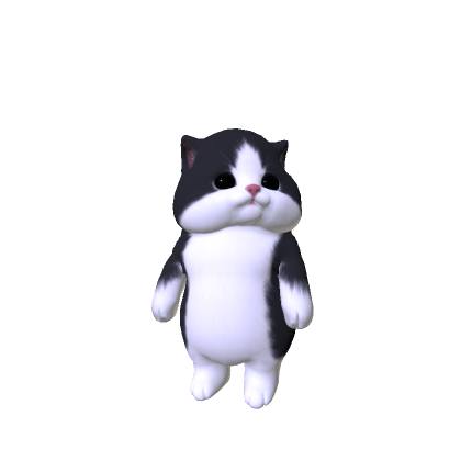 Chubby Cheeked Kitten