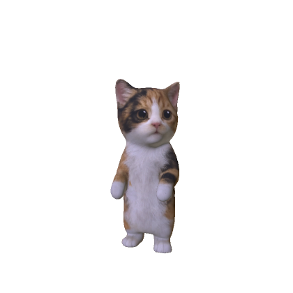 El Gatoo