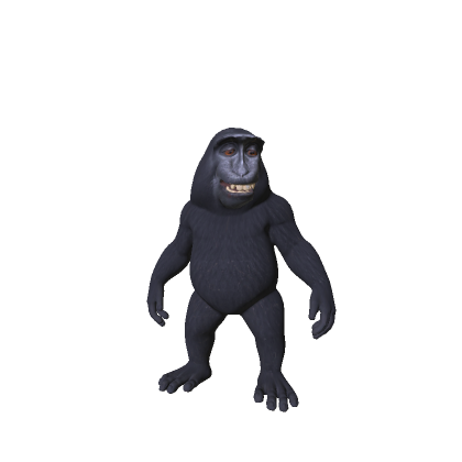Little Smiling Monkey 🐵